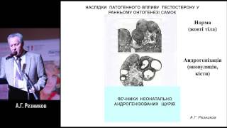 инструкция синтезатора techno kb-820